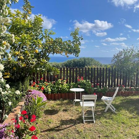 Appartamento Lavigna Marina di Camerota Extérieur photo